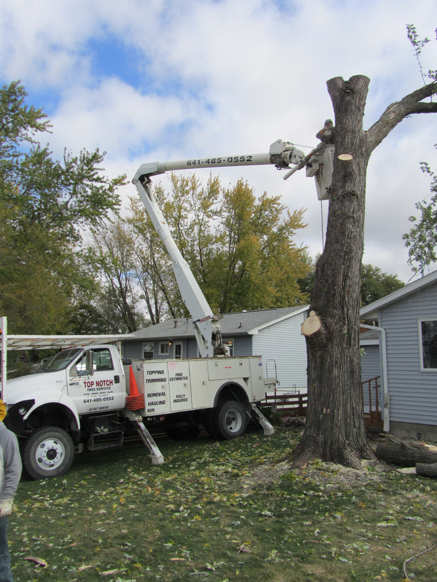 Top Notch Tree Service Photo Gallery l Marshalltown, IA