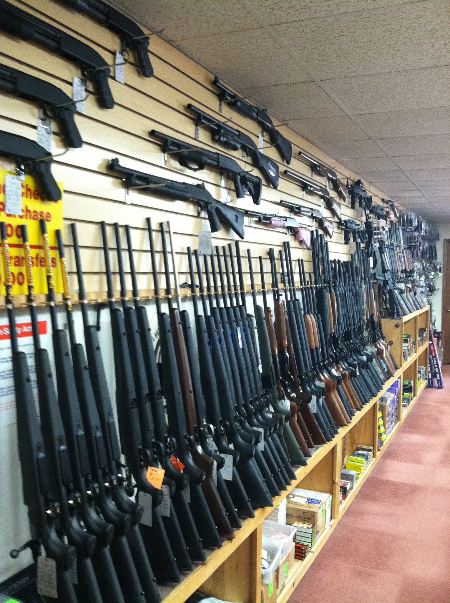 Firearms Guns Newnan, GA