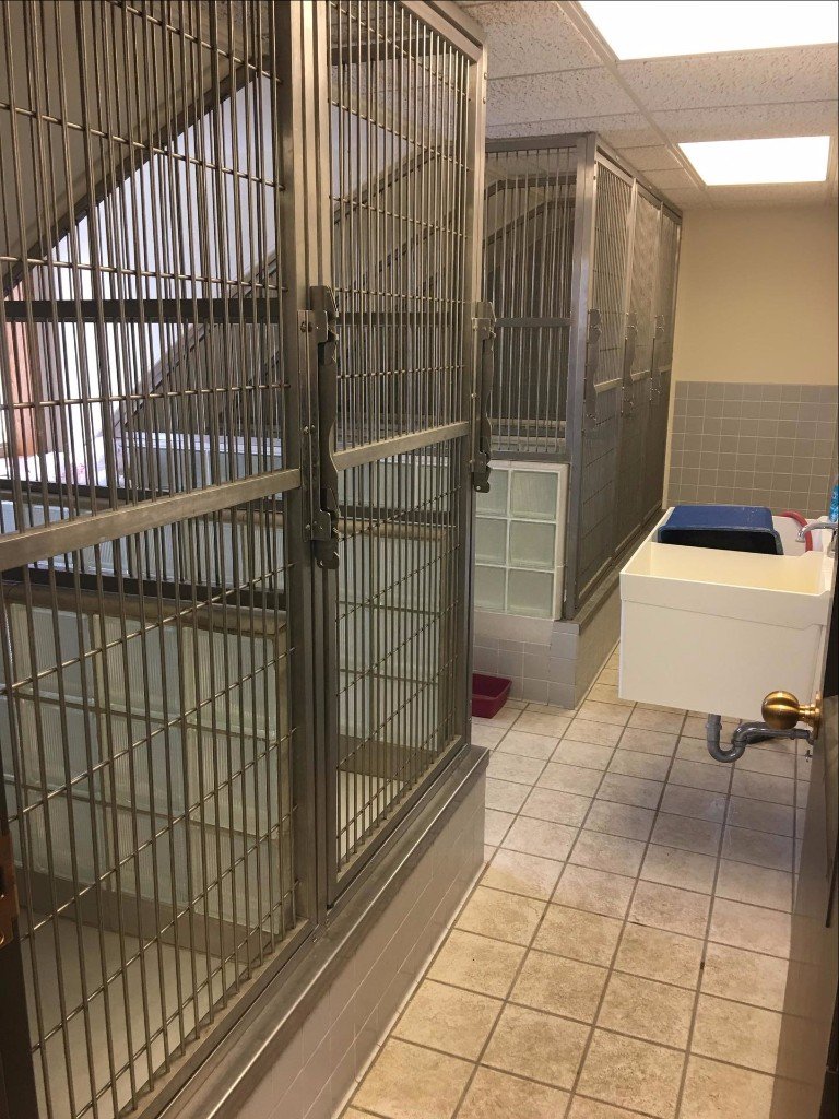 AirConditioned Pen Pet Boarding Glyndon, MN