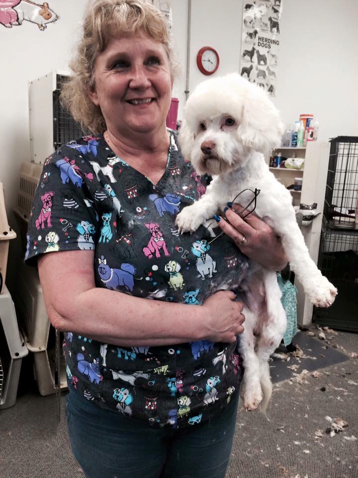 All Animal Grooming Gallery Redding, CA