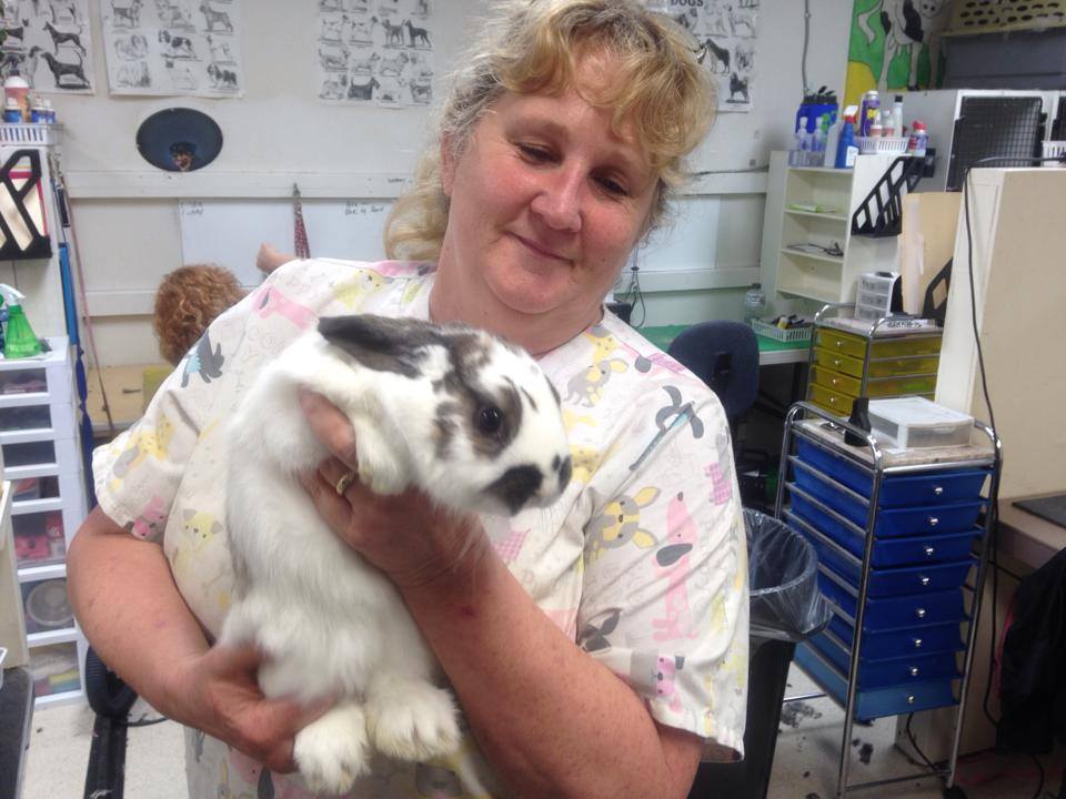 All Animal Grooming & Pet Supply