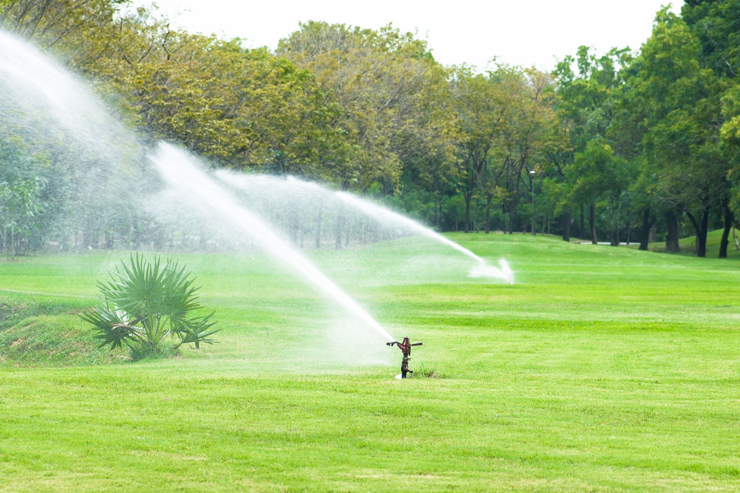Sprinkler Service Specialist Sprinkler System Wichita KS