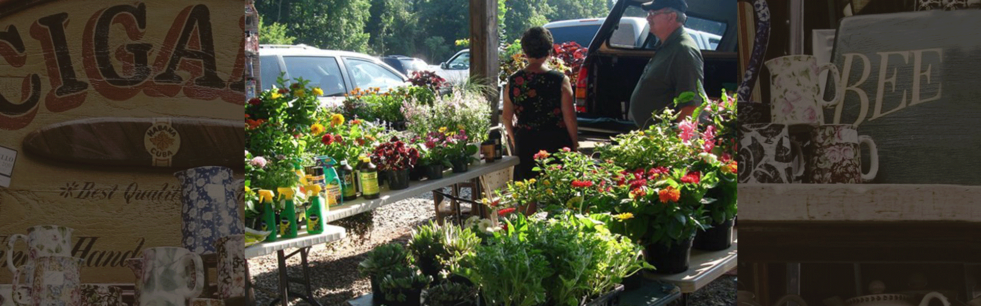 farmers-market-flea-market-flea-market-lexington-nc