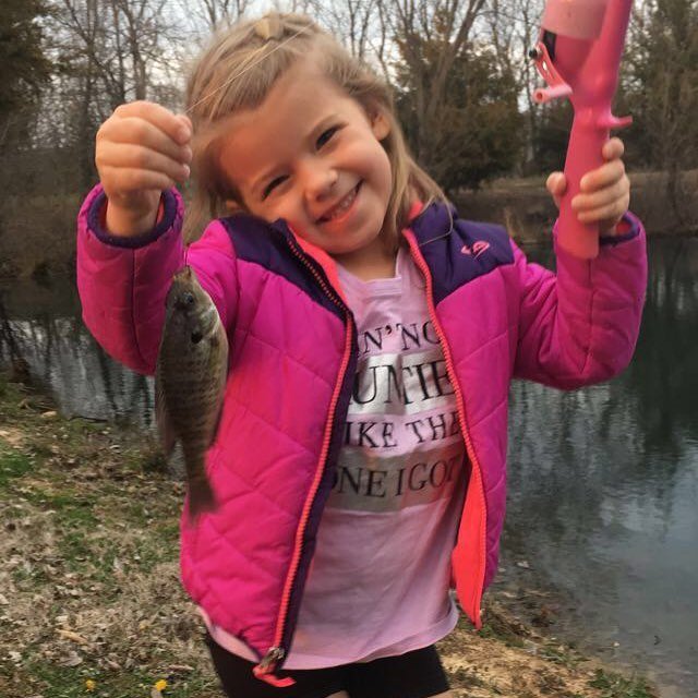 Outback Archery of Joplin LLC Photo Gallery Joplin, MO