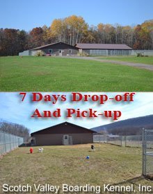 valley boarding kennel