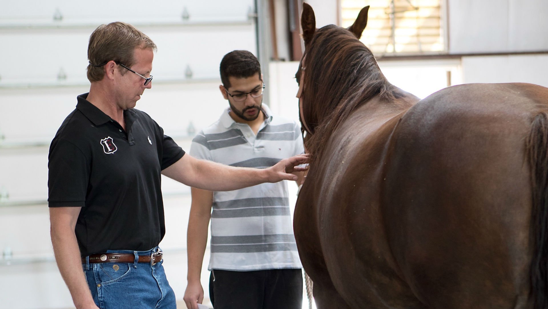 Interstate Equine Hospital Horse Hospital Goldsby, OK