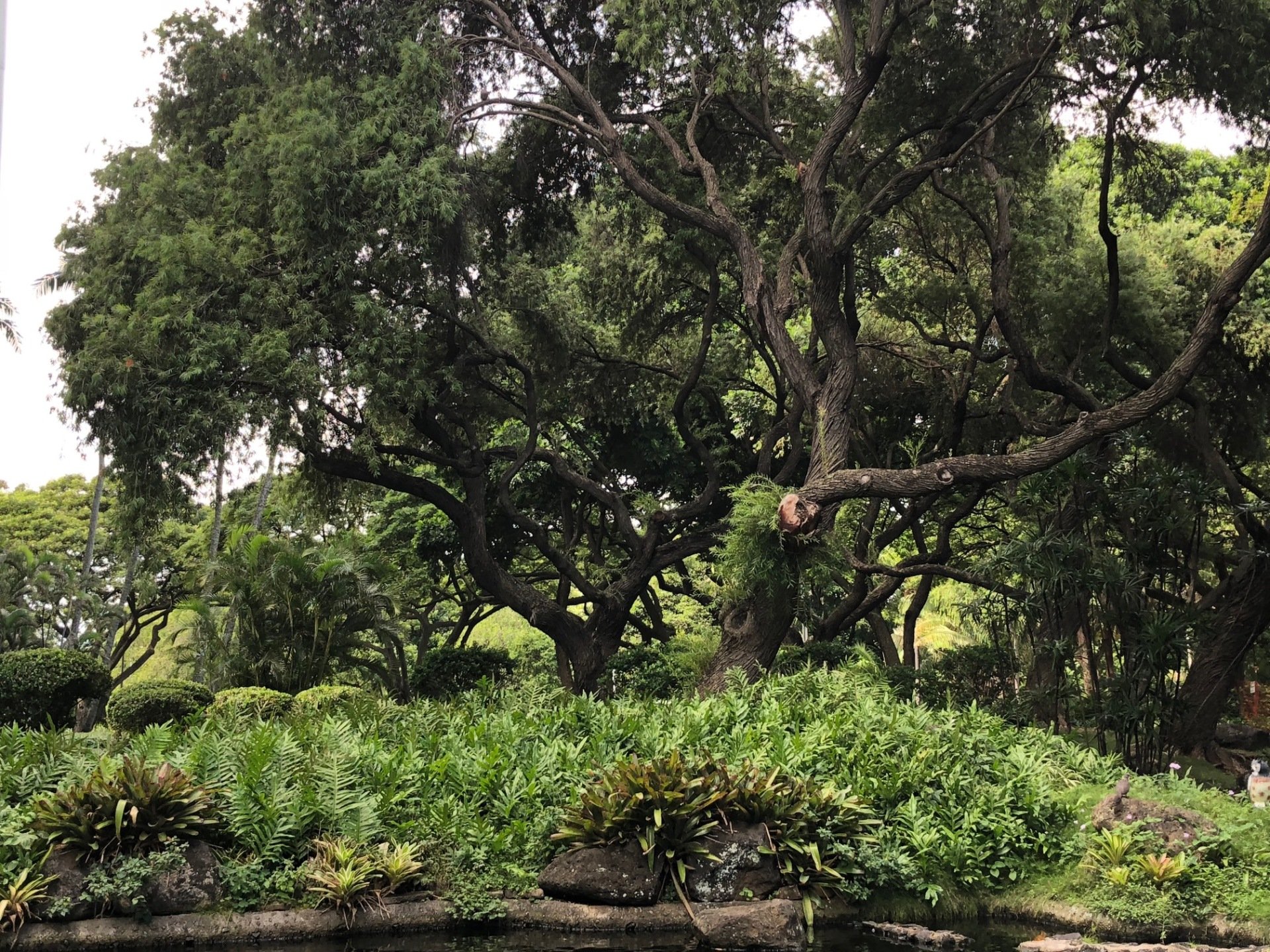 About Landscape Hawaii Inc. Honolulu, HI Landscapers