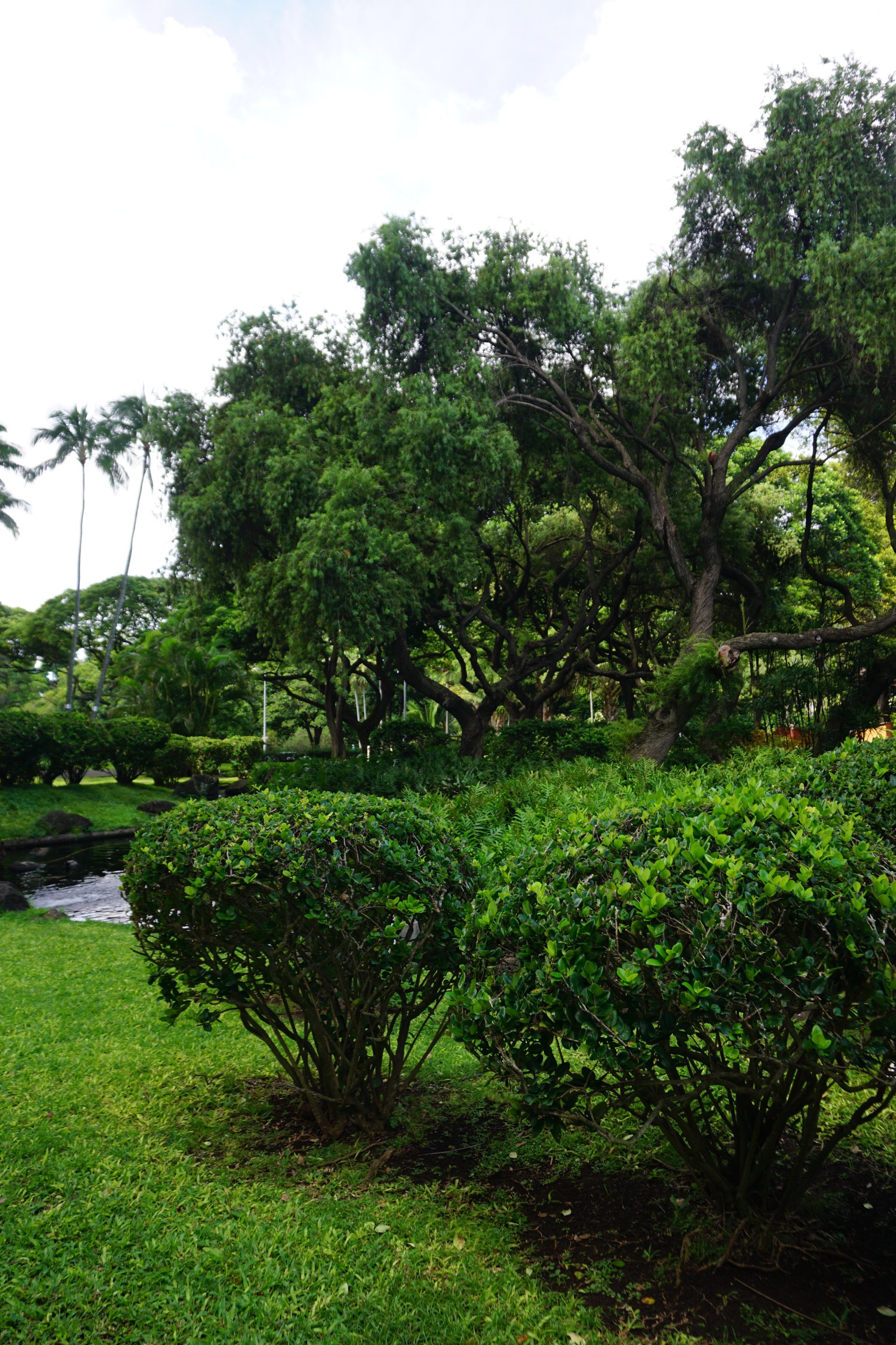 Landscape Hawaii Inc. Photo Gallery Honolulu, HI