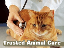 Veterinarians - Centralia, MO - Centralia Veterinary Clinic