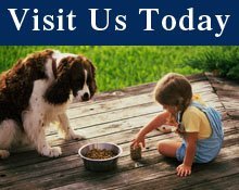 Pet Supplies - Dade City, FL - Dog-Mania & Cats
