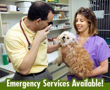 Pet Care Services - Warsaw, IN - Sasso Veterinary Hospital