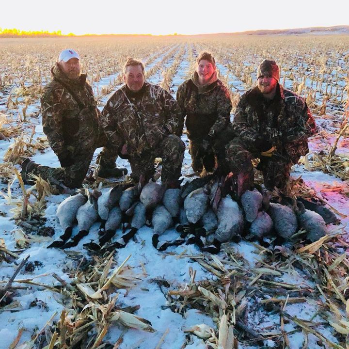 Nebraska Canada Goose Hunts Canada Goose Hunting Guide