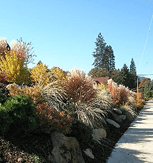 Landscaping - Rowlett, TX - The Grass Man Lawn & Landscape & Lighting - Lawn Care - Call now for more details.