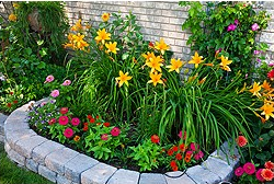 Rowlett, TX Commercial / Residential Lawn Care - The Grass Man Lawn & Landscape & Lighting