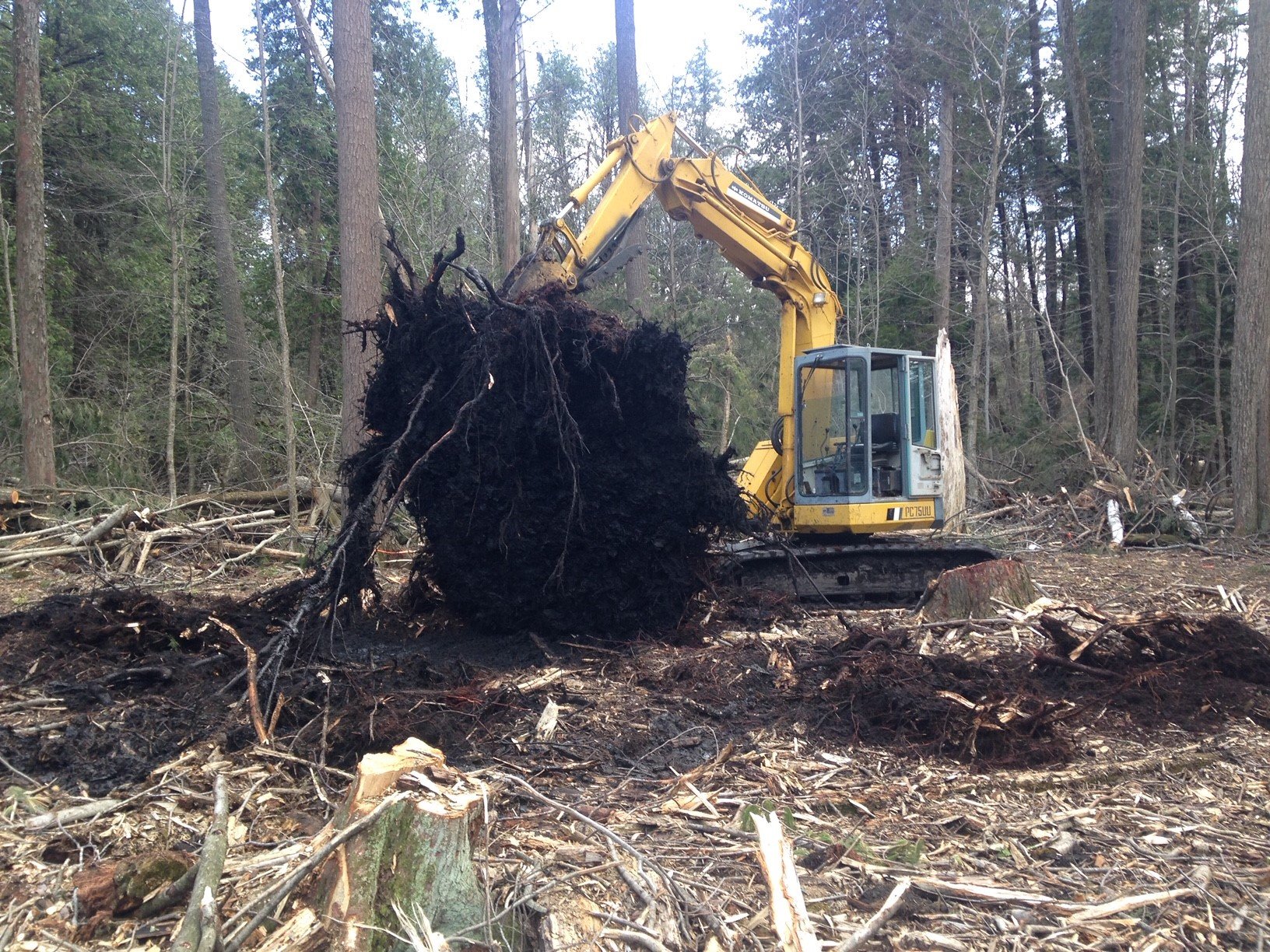 Land and Lot Clearing Food Plots Seymour, WI