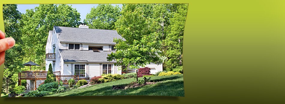 Wise Tree Service Services Hildebran Nc Landscaping Services
