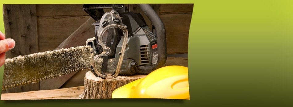 Wise Tree Service Services Hildebran Nc Tree Stump Grinding Equipment