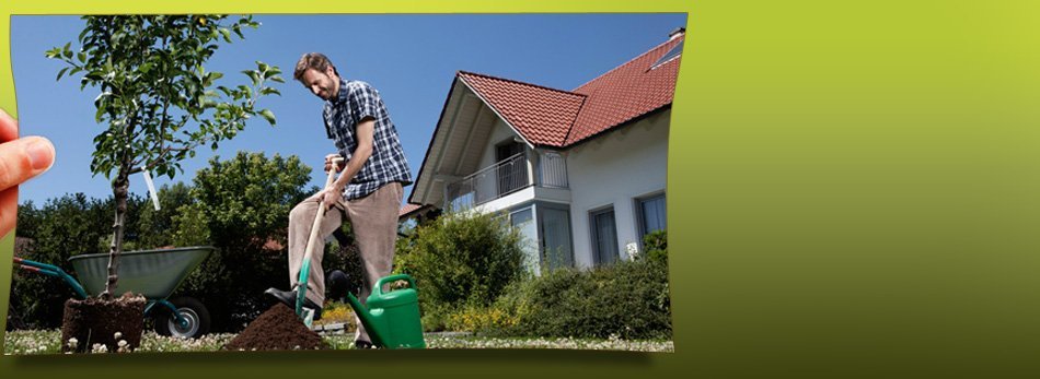 Wise Tree Service Services Hildebran Nc Landscaping Services