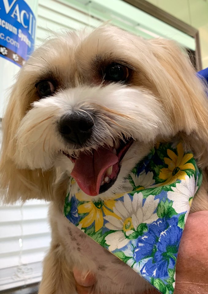 Beth's Boarding & Grooming Pet Boarding Eatonton, GA