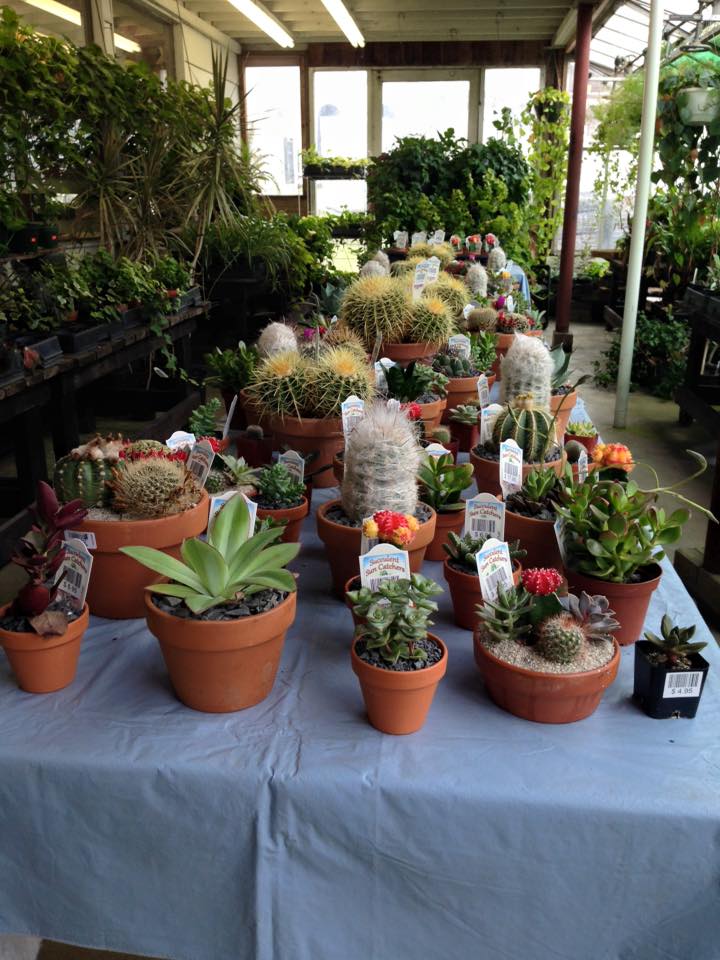 Westwood Garden Haven Gardening Center Johnstown, PA