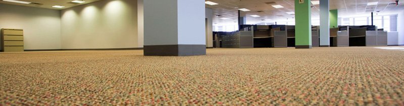 Carpet Cleaning Shampooing Worcester Ma Carpet