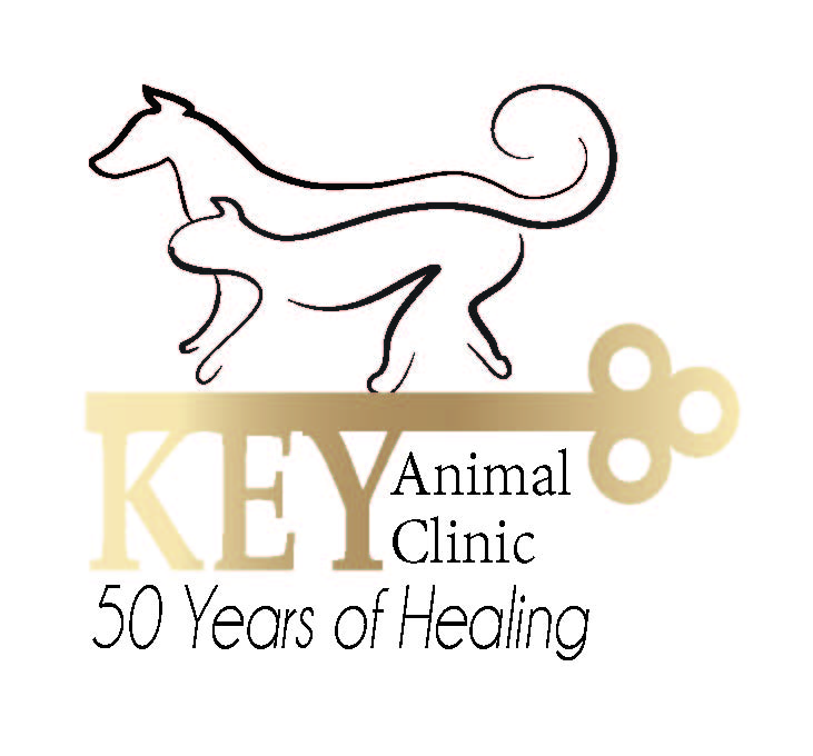 Key Animal Clinic Pet Care Lubbock, TX