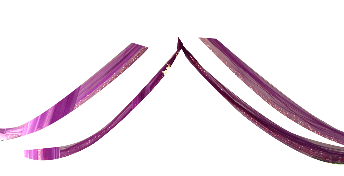 Briggs Tent & Party Rental Tent Rentals Party Rentals Eau Claire WI