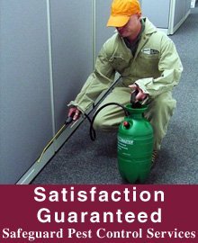 Pest Services - Ganado, TX - Safeguard Pest Control Services - Pest Control Pest Services - Ganado, TX - Safeguard Pest Control Services - Pest Control