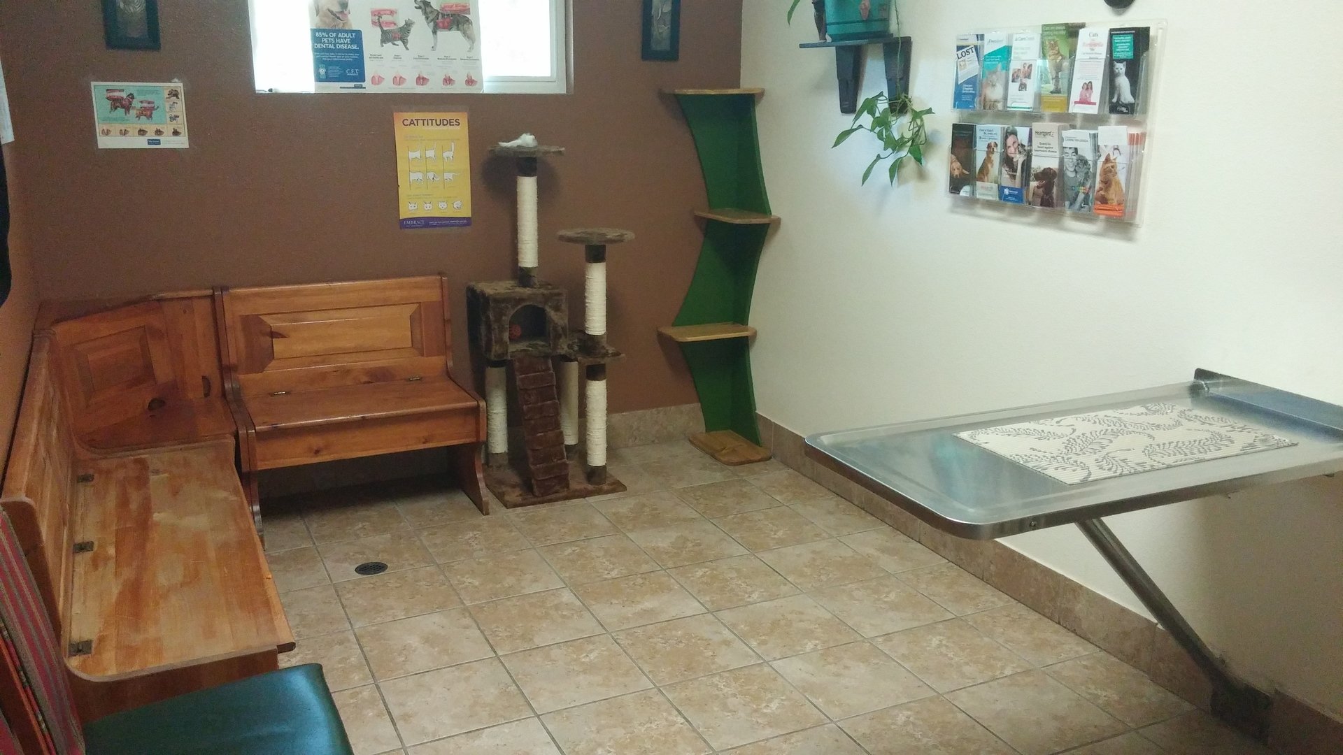 Broadway Veterinary Hospital Open 7 Days a Week Until 7pm