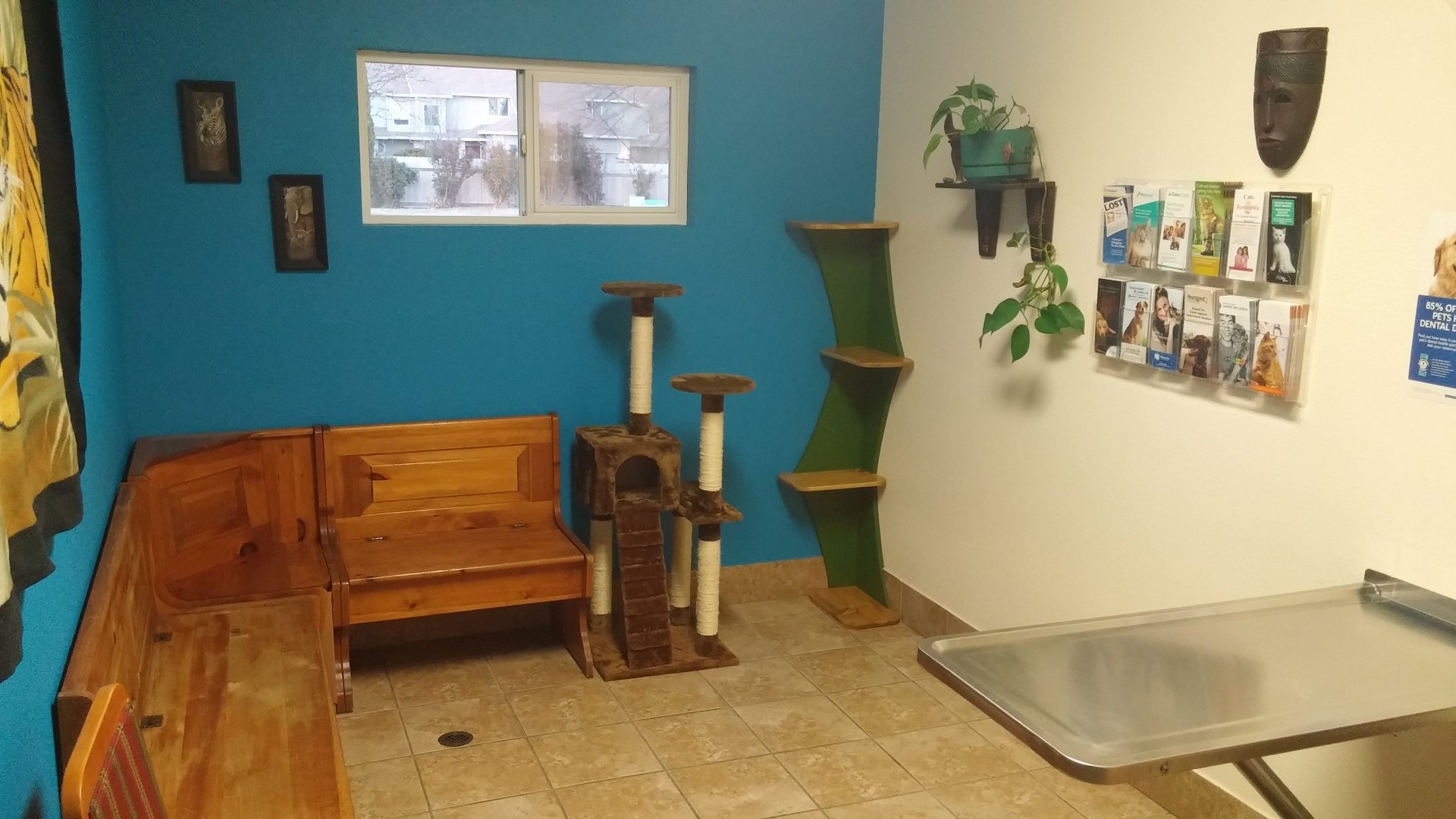 Broadway Veterinary Hospital Open 7 Days a Week Until 7pm