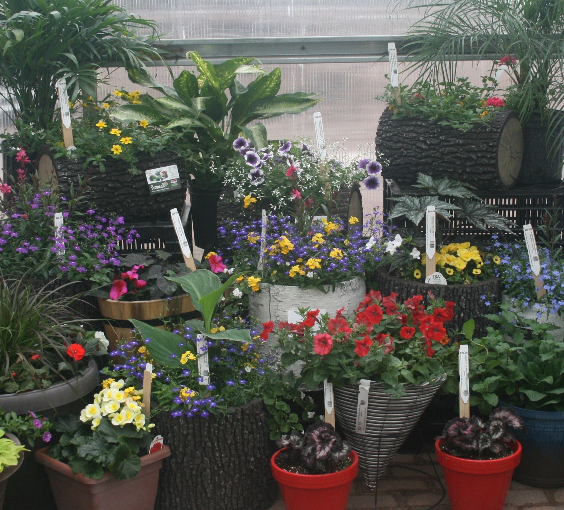 Garden Center Greenhouse Hayward, WI