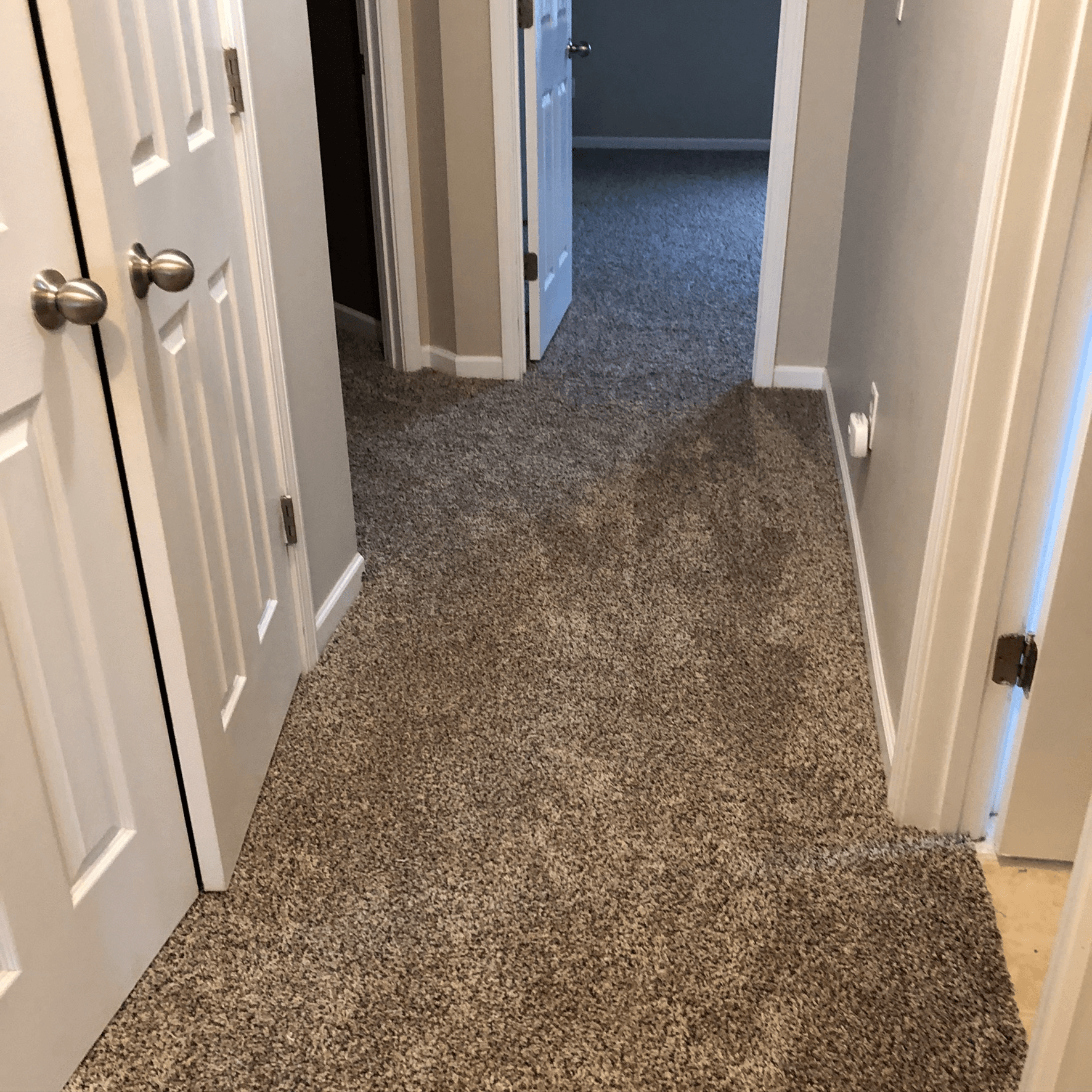 Ray's Carpets & Flooring Photo Gallery Kannapolis, NC