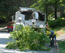 Clearing services