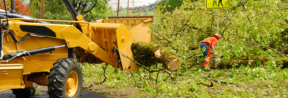 Yard clearing