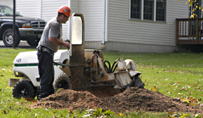 Stump removal