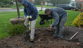 Planting