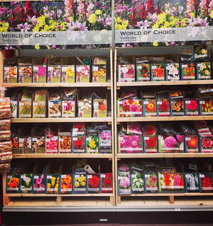 Johnson garden center morgan hill coupons