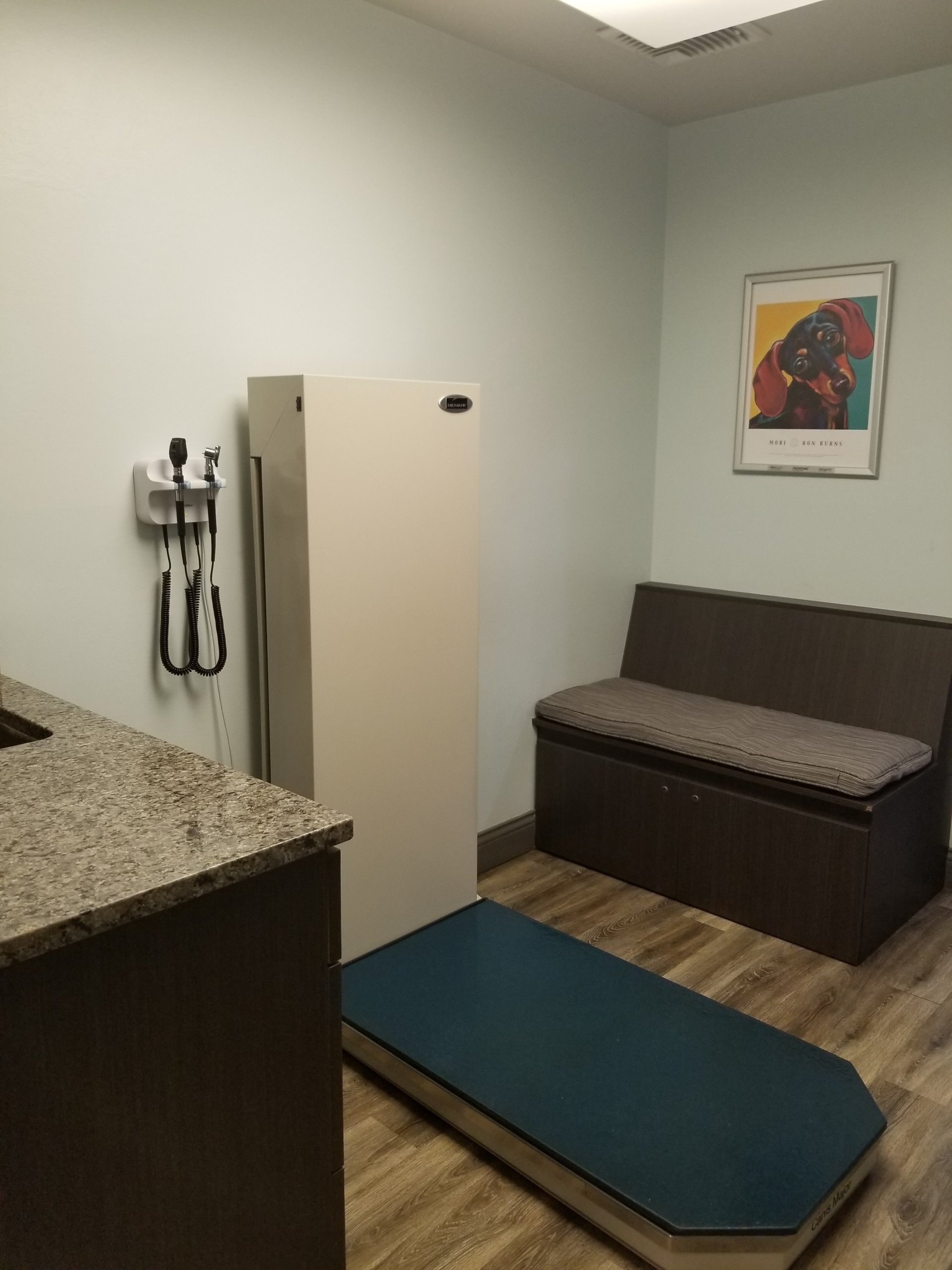 Pet Care Pet Boarding New Albany, IN