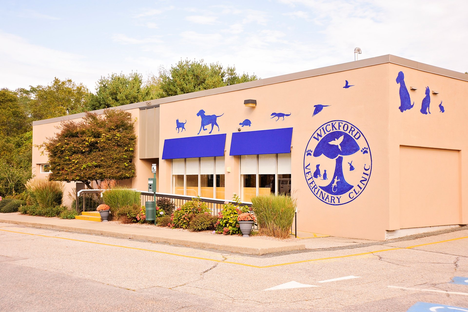 Wickford Veterinary Clinic Photo Gallery North Kingstown RI