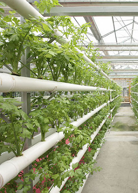 Products Hydroponics Nutrients Roseburg Or