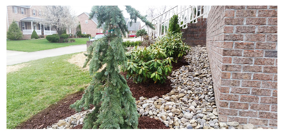 Mountaineer Lawns Gardens Lansdcapes Hurricane Wv