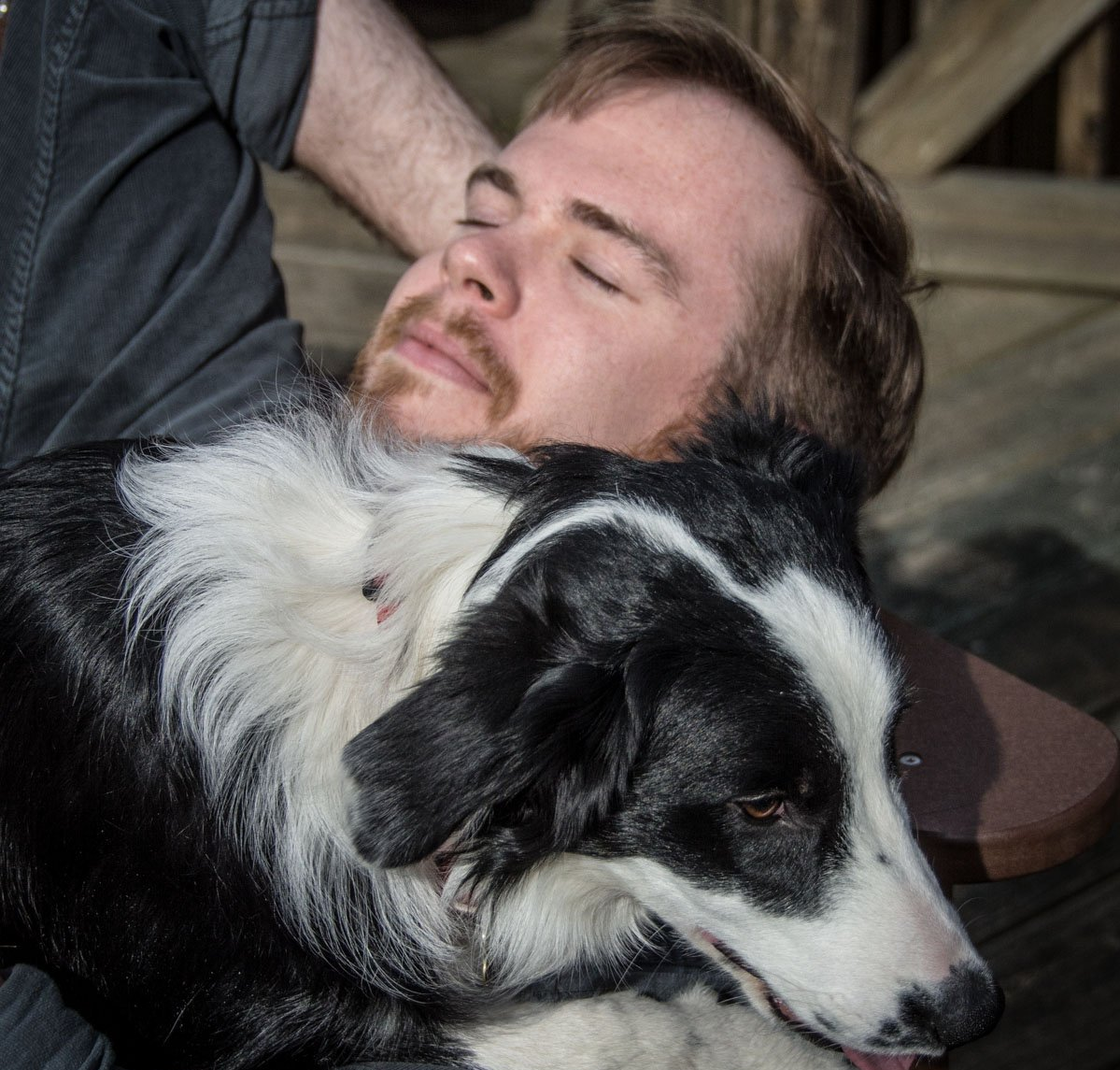 Family Animal Hospital Pet Care Services Batavia, OH