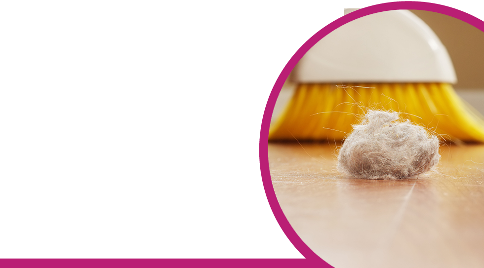 A Touch of Dust Cleaning Service Inc Cleaners Peru IN