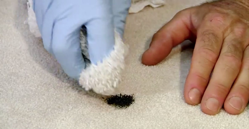 remove grease from carpet