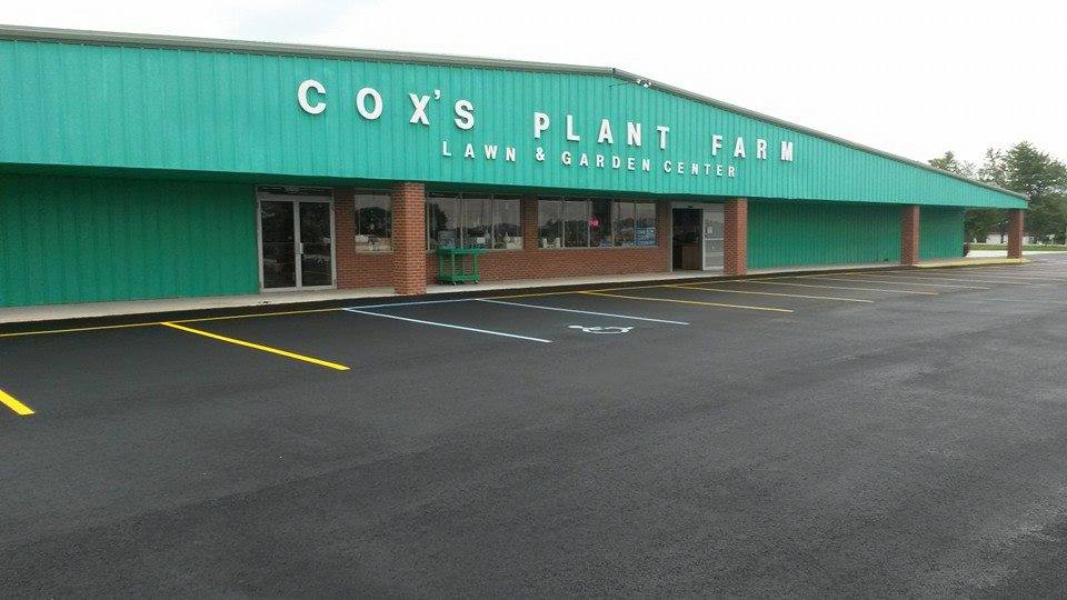 Spring Catalog Cox's Plant Farm