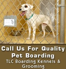 Dog Grooming - Winlock, WA - TLC Boarding Kennels & Grooming