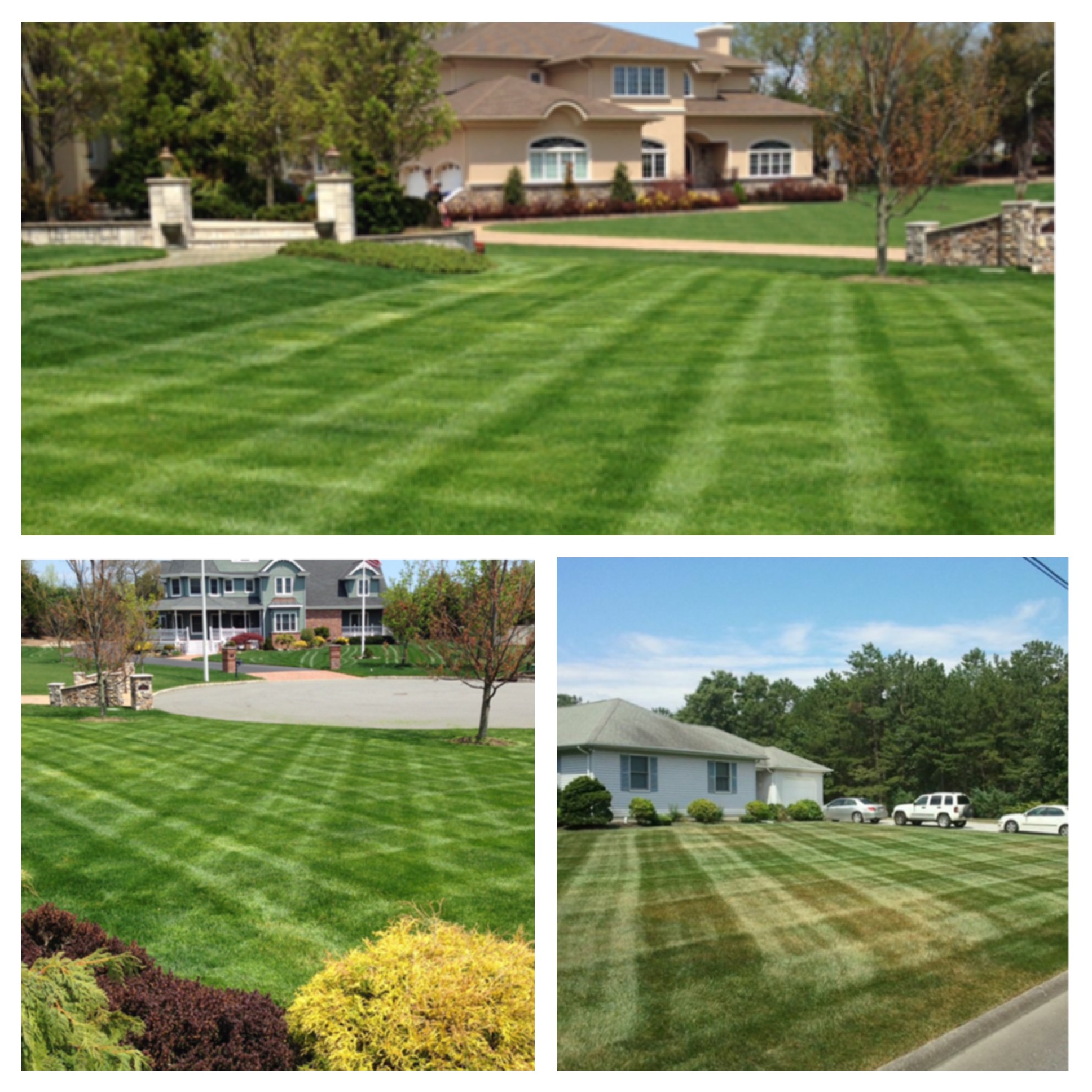 Lawn Service Lawn Care Grass Cutting Toms River, NJ