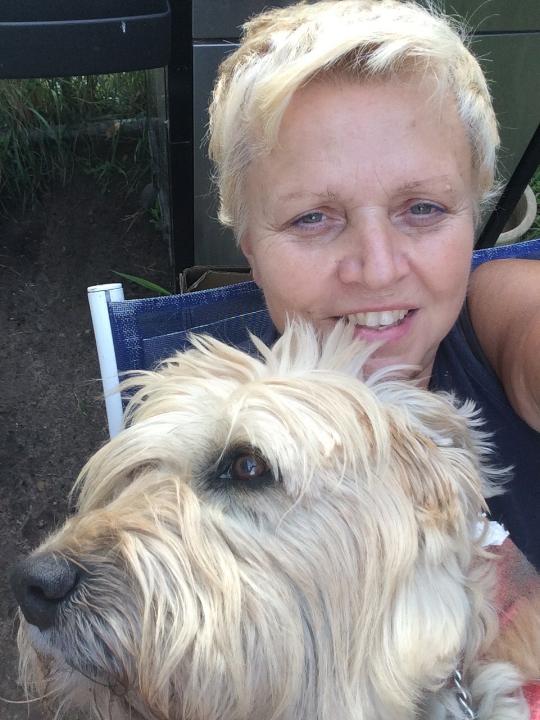 About Milford Feed Co. Milford, MI Pet Supplies