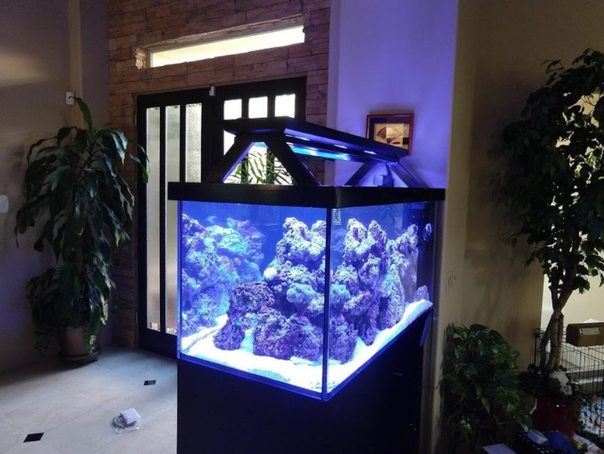 Aquarium Service Tank Cleaning Indio, CA
