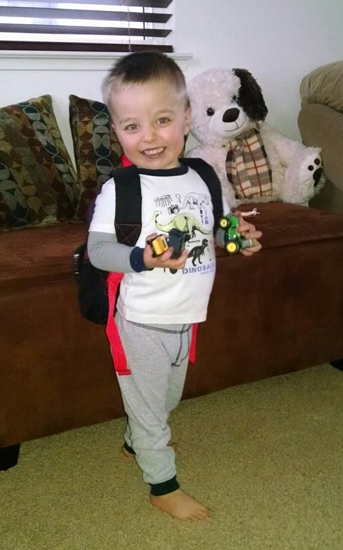 Wings Of Eagles Photo and Video Gallery Chico, CA